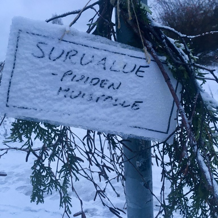 Kyltti, jossa lukee "Surualue puiden muistolle"